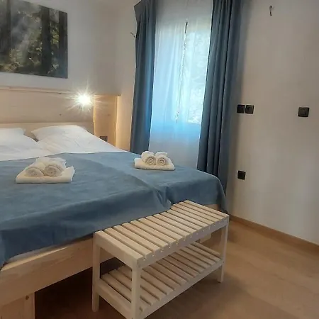 House Rojer Ljubno